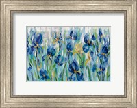 Iris Flower Bed Fine Art Print