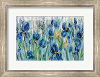 Iris Flower Bed Fine Art Print