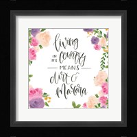 Beautiful Country V Framed Print
