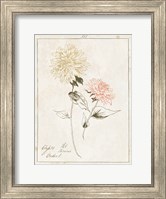 Flowers on White IV with Words Fine Art Print
