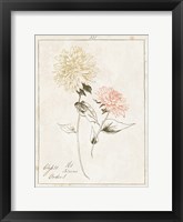 Flowers on White IV with Words Fine Art Print