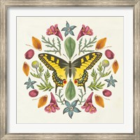 Butterfly Mandala III Fine Art Print