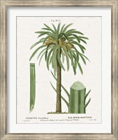 Island Botanicals II Fine Art Print