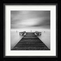 Bipolar Fine Art Print