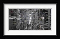 La Ciudad De Los Libros Framed Print