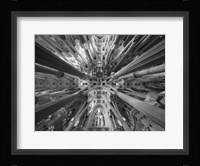 Sagrada 1 Fine Art Print