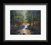 Wooded Stream Fine Art Print