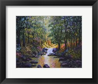 Wooded Stream Framed Print