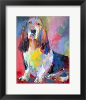 Basset Hound Fine Art Print
