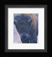 Bull Fine Art Print