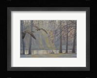 Geese An Pond Fine Art Print