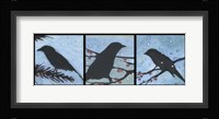Winter Bird Triptych Fine Art Print