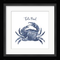 Tide Pool Crab Framed Print