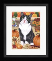 Harvest Cat Fine Art Print