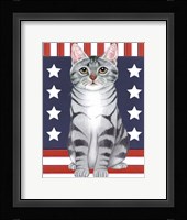 Patriot Cat Fine Art Print