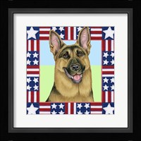 4Th July Shepherd Framed Print