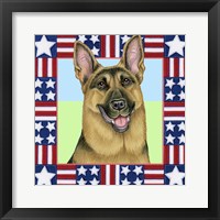 4Th July Shepherd Framed Print