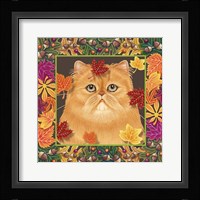 Autumn Persian Fine Art Print