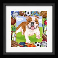 Sports Bulldog Framed Print