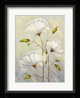 Cream II Fine Art Print