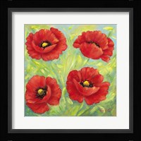 Poppies B Framed Print