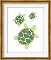 Three Turtles - Green Fine Art Print