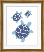 Three Turtles - Blue Fine Art Print
