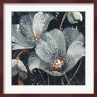 Translucent Poppies Fine Art Print