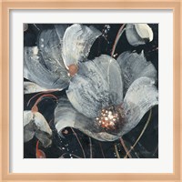 Translucent Poppies Fine Art Print