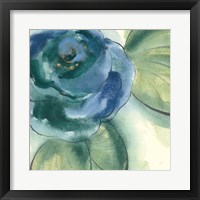 Wannabe Poppies V Framed Print