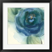 Wannabe Poppies I Framed Print