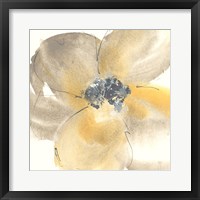 Flower Tones II Framed Print