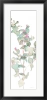 Eucalyptus II White Crop Fine Art Print