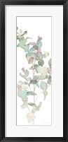 Eucalyptus II White Crop Fine Art Print