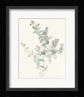 Eucalyptus II Fine Art Print