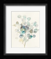 Eucalyptus III Fine Art Print