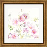 Queen Annes Lace and Cosmos on White II Fine Art Print