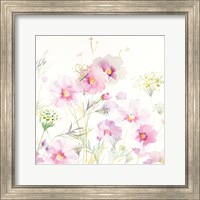 Queen Annes Lace and Cosmos on White II Fine Art Print