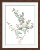 Eucalyptus II White Fine Art Print