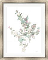 Eucalyptus II White Fine Art Print