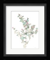 Eucalyptus II White Fine Art Print