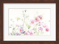 Queen Annes Lace and Cosmos on White Fine Art Print