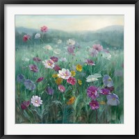 Cosmos at Dawn Fine Art Print