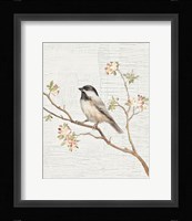 Black Capped Chickadee Vintage v2 Framed Print