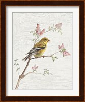 Female Goldfinch Vintage v2 Fine Art Print