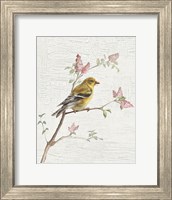 Female Goldfinch Vintage v2 Fine Art Print