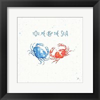 Maritime V Framed Print