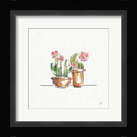 Desert Bloom VI Framed Print