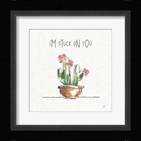 Desert Bloom II Framed Print