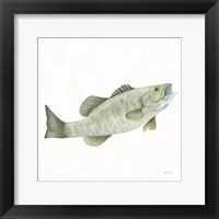 Gone Fishin Small Mouth Framed Print